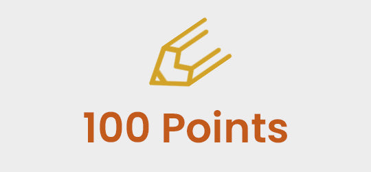 Rosineer Rewards Program Earn 100 Points for Every Product Review